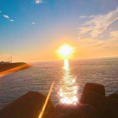 押注篮球的app下载手机版截图