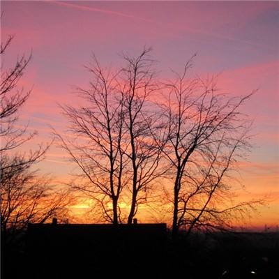 江南·体育APP截图