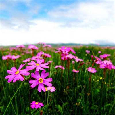 爱体育官方网站手机app下载