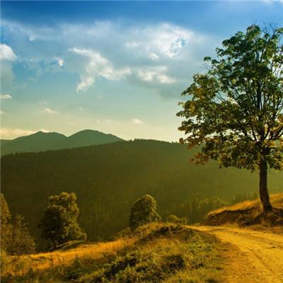 半岛官方体育下载