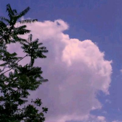 易倍app官网下载